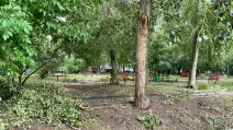 Утро в одном из скверов Харькова после урагана / Фото Glavnoe.in.ua