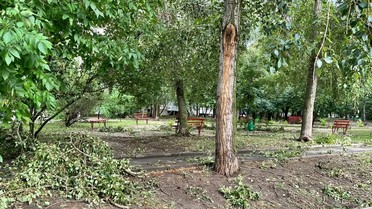 Morning in one of Kharkiv’s parks after the storm / Photo: Glavnoe.in.ua