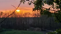  Уничтоженный российский ЗИЛ на Донбассе / Фото: t.me/lost_warinua