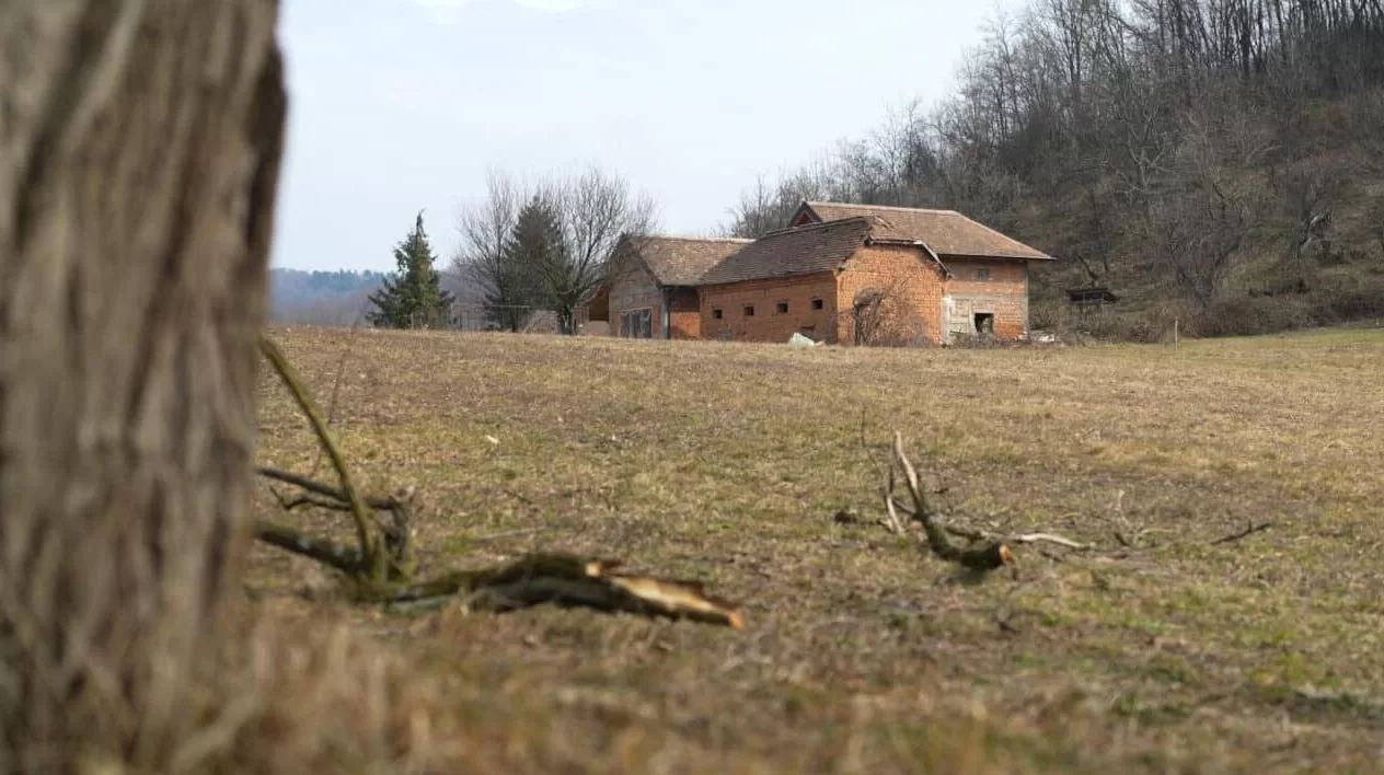 Місце табору з підготовки найманців в Сербії / Фото: BIRN
