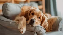 Стрельбы на полигоне / Фото иллюстративное: slovopravdy.com.ua