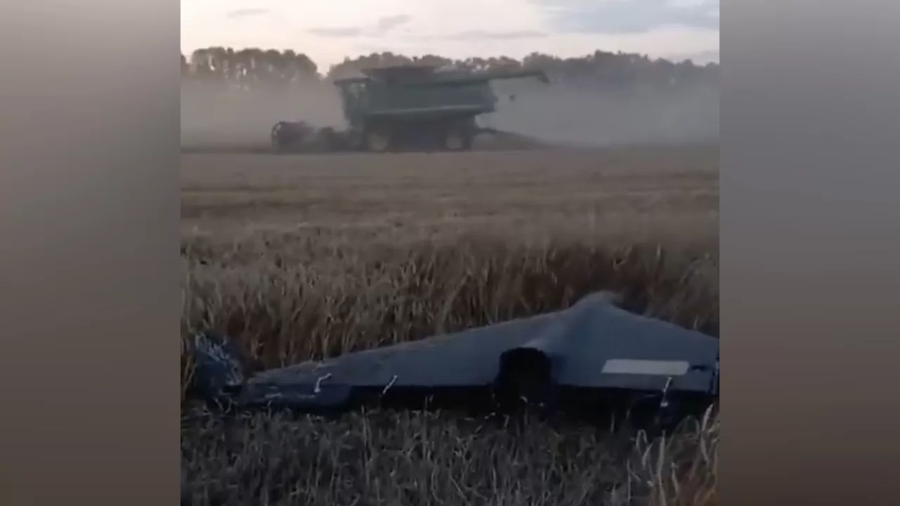 Иллюстративное фото / Скриншот видео