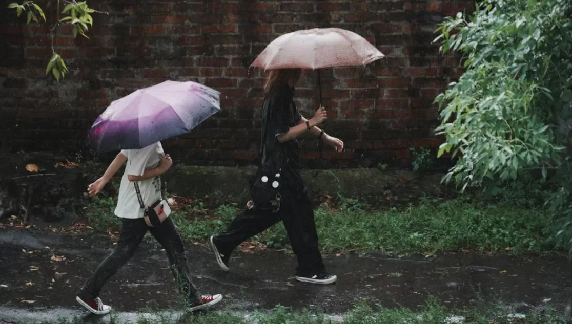Дожди в Харькове / Фото: Суспільне