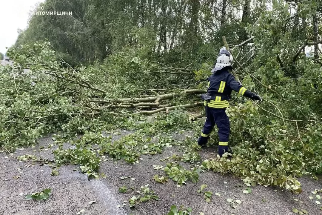 В Житомирской области в результате непогоды частично обесточен 91 населенный пункт / Фото: ГСЧС