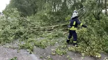 На Житомирщині внаслідок негоди частично знеструмлено 91 населений пункт / Фото: ДСНС