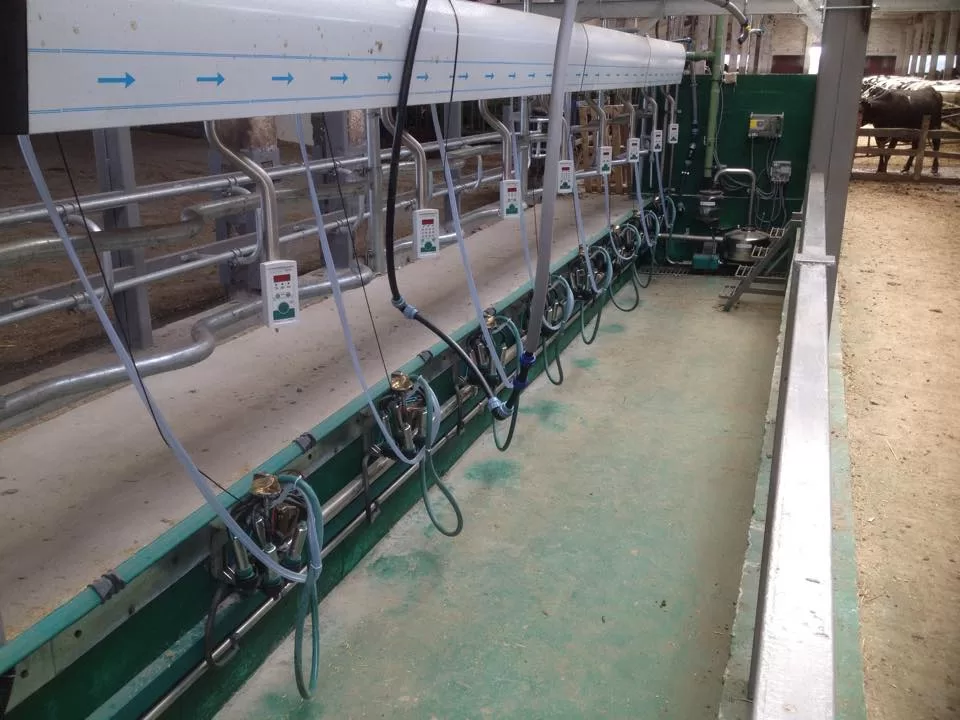 Ферма у селі Добра / Фото: Kischenzi Agriculture