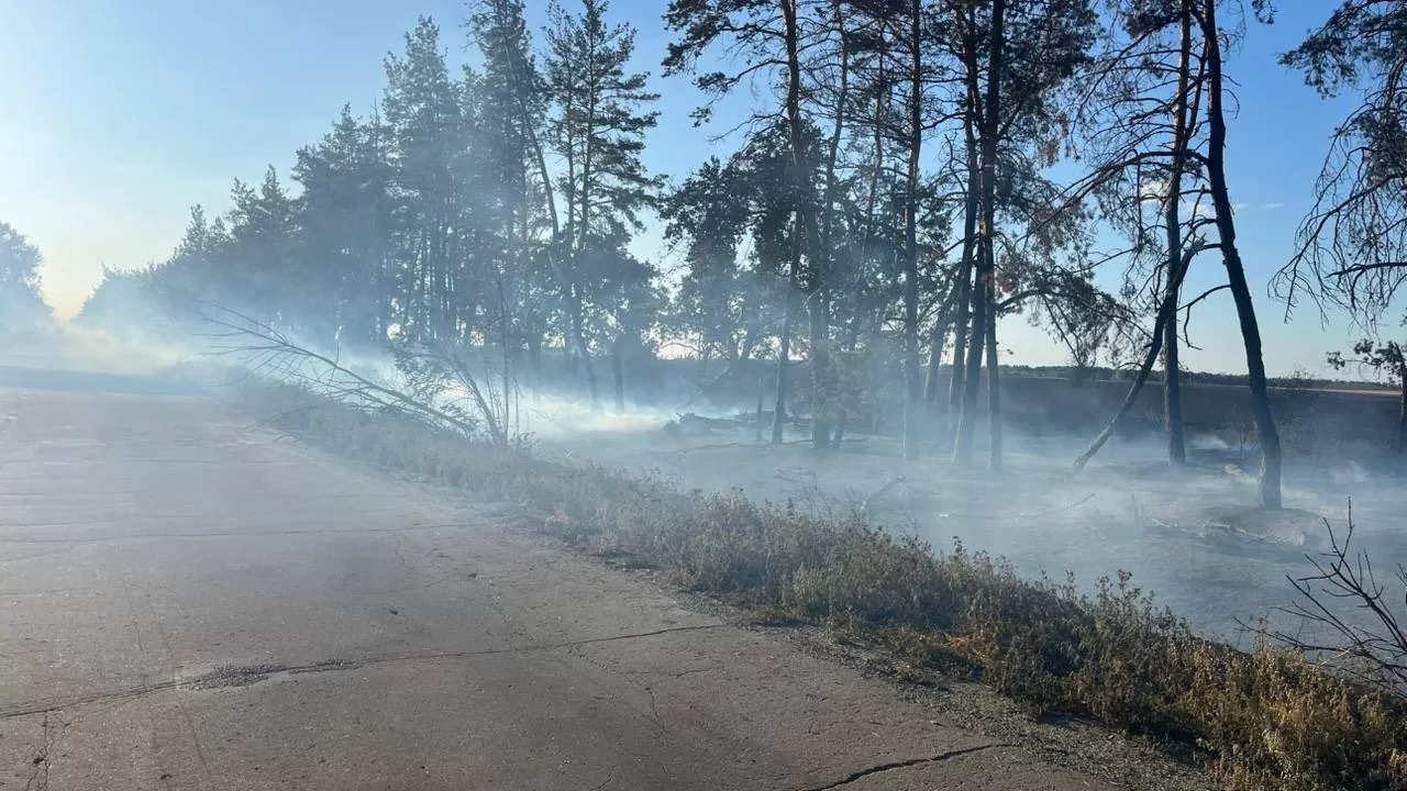За межами Балаклії, у напрямку руху до Савинець, зафіксовано загорання сухої рослинності / Фото Балаклійська МВА