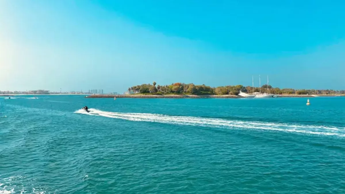 Иллюстративное фото / Фото из открытых источников