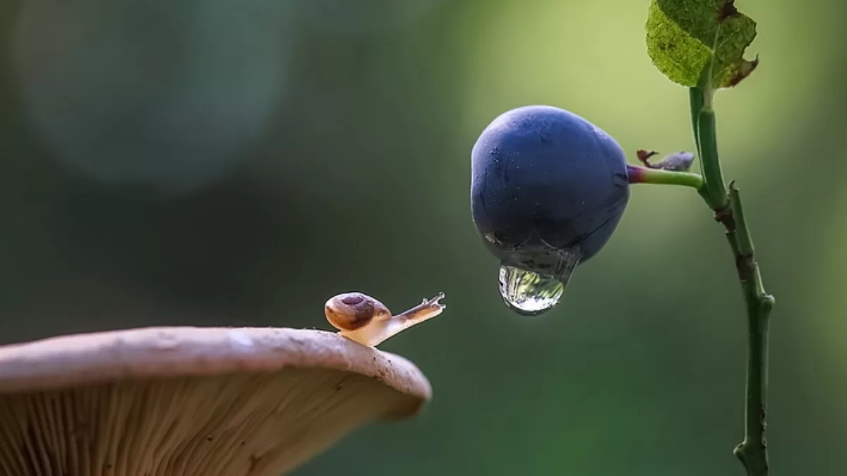 Доброго утречка! / Фото из Facebook Вячеслав Мищенко
