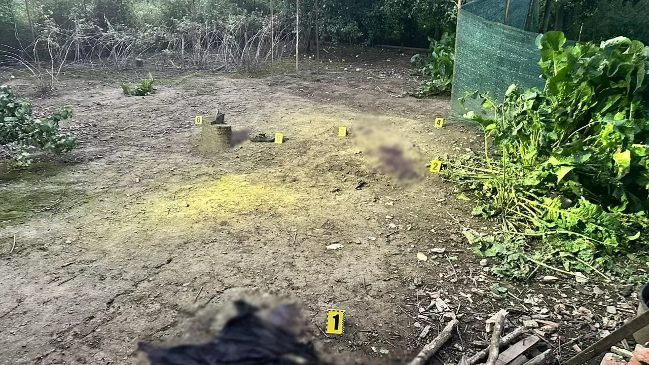 Место взрыва / Фото: ГУНП в Закарпатской области