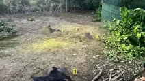 Місце вибуху / Фото: ГУНП в Закарпатській області