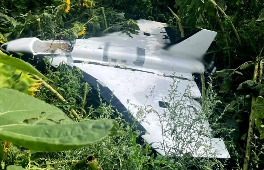 Оккупанты начали оснащать БпЛА "Гербера" боевым зарядом / Фото: ГНСУ