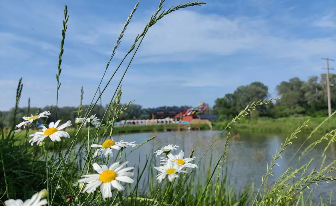 Речка в Полтавской области / Фото: Головне в Україні