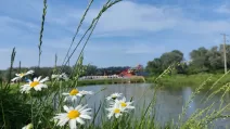 Річка на Полтавщині / Фото: Головне в Україні