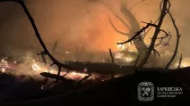 Наслідки нічної атаки на Харківщину / Фото Харківська ОВА