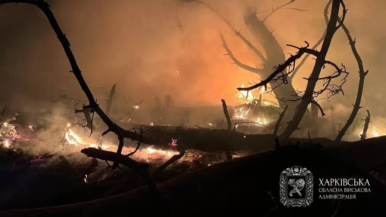 Последствия ночной атаки на Харьковскую область / Фото Харьковская ОВА