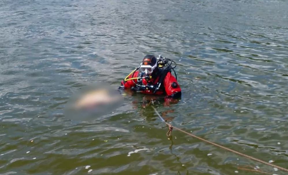 В реке Десенка в Деснянском районе Киева утонул человек / Фото: ГСЧС