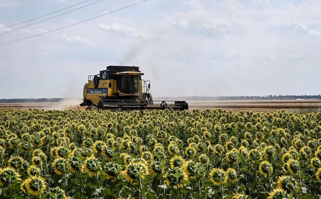 Комбайн работает на поле / Фото: Укринформ