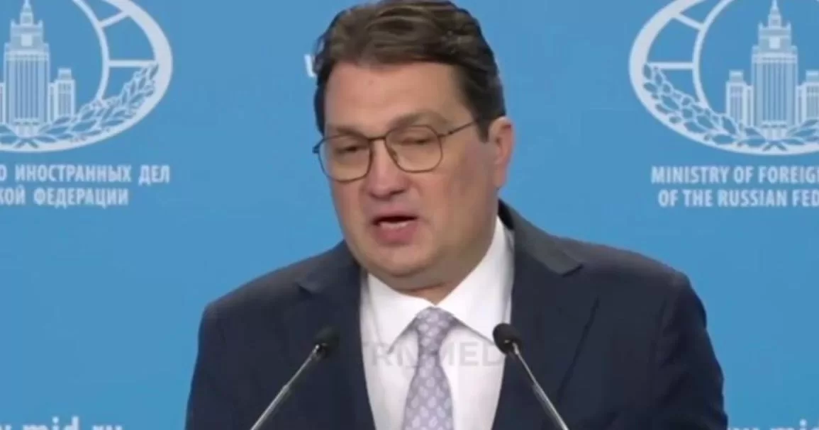 Russian Foreign Ministry representative Alexei Fadeev / Video screenshot