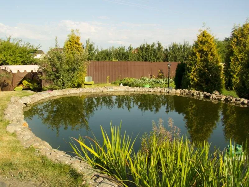 Частный пруд / Фото иллюстративное: Соцсети