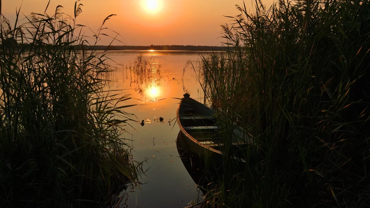 Volyn. Shatsk Lakes / Photo from Facebook Oleksandr Shtifman