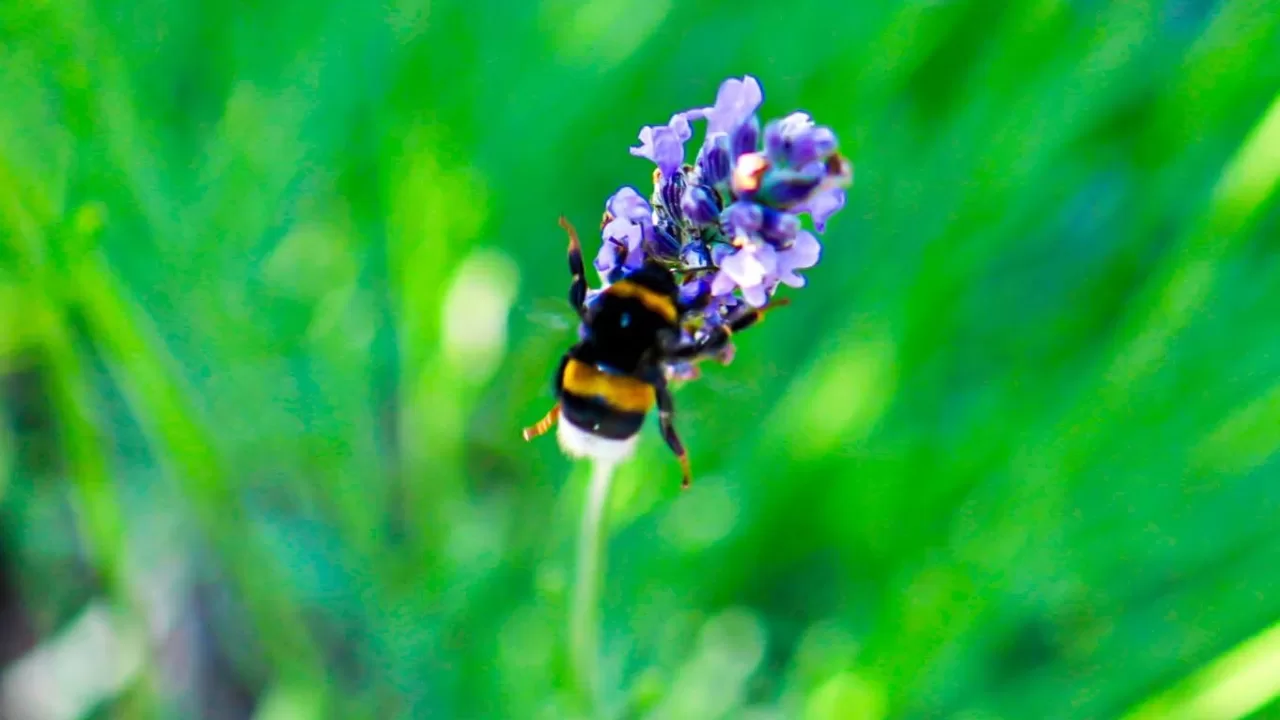 Illustrative photo / Photo from Facebook Leonid Logvynenko