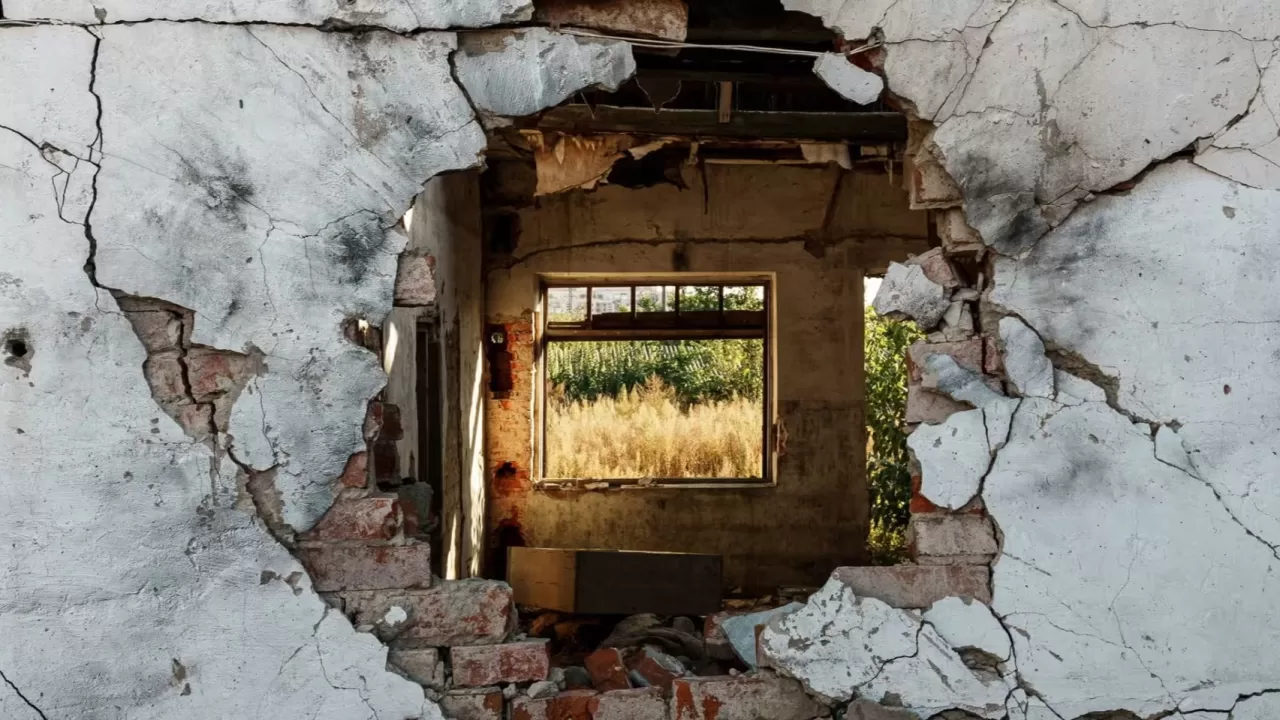 Фотографія Сергія Полежаки з його серії «Наївні сади»