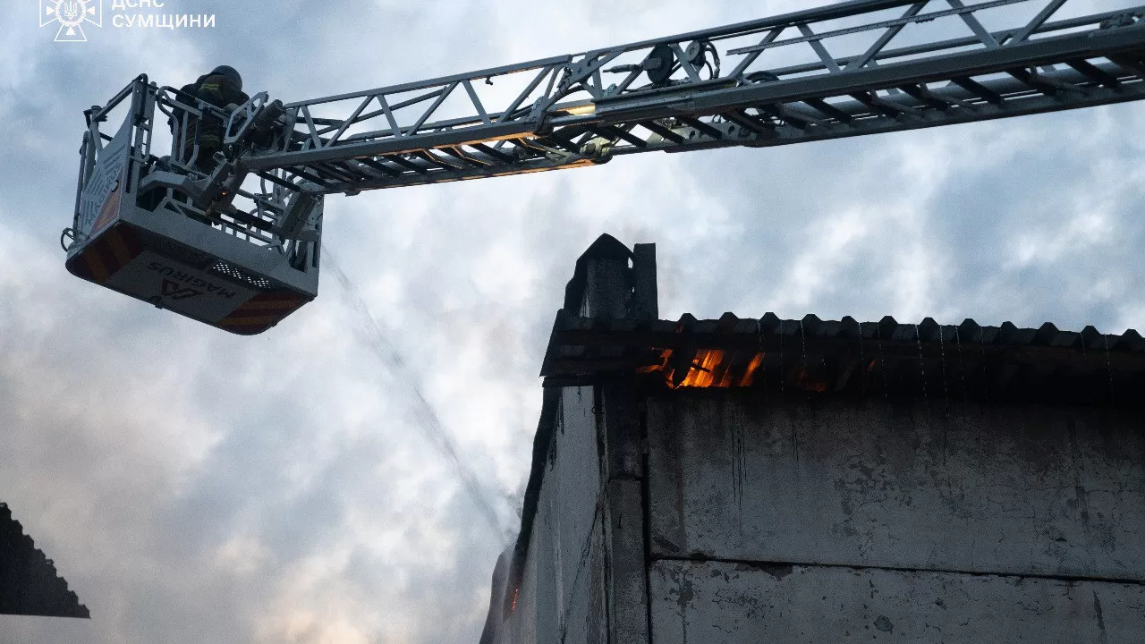 Спасатели на месте пожара в Сумской области / Фото: ГСЧС