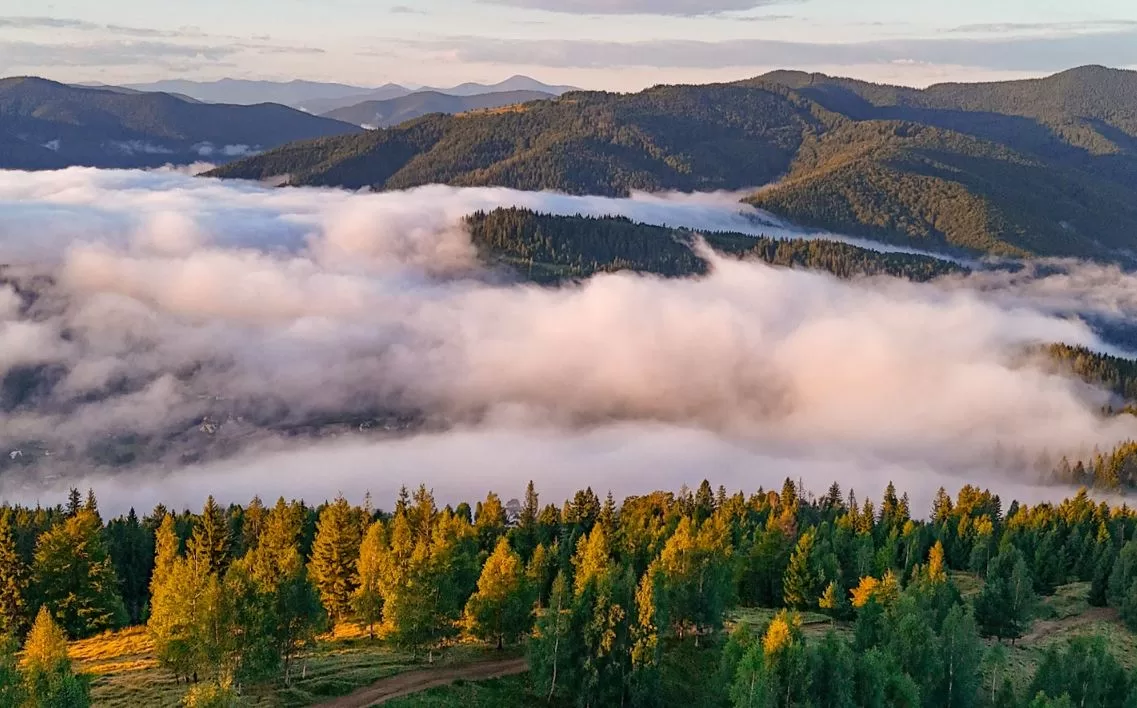 Світанок на горі Маковиця (Яремче) / Фото: Instagram/utah_names