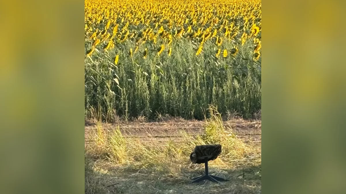 Тарелка спутникового модема Starlink / Фото с X @sinicynr
