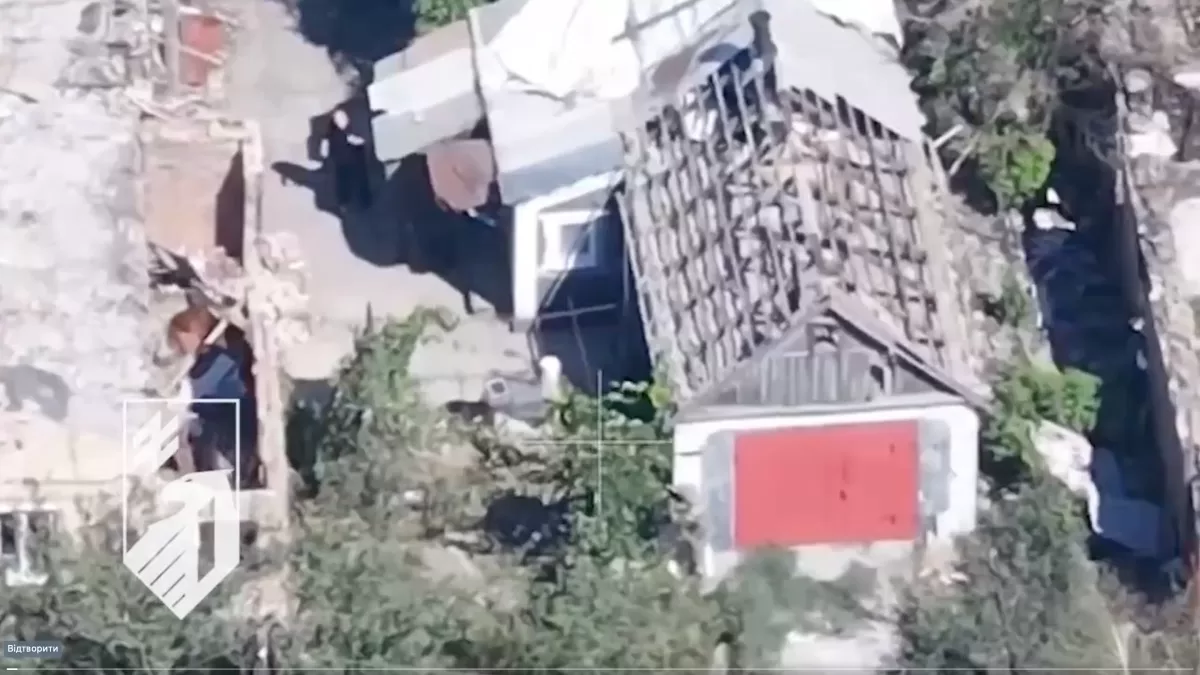 В Покровському районі на Донеччині окупант застрелив місцевого жителя / Скріншот відео