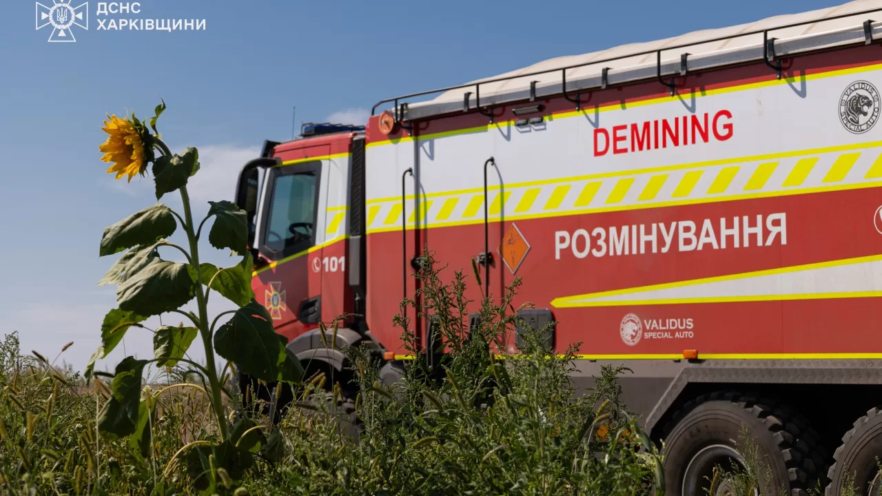 Ілюстративне фото / ДСНС