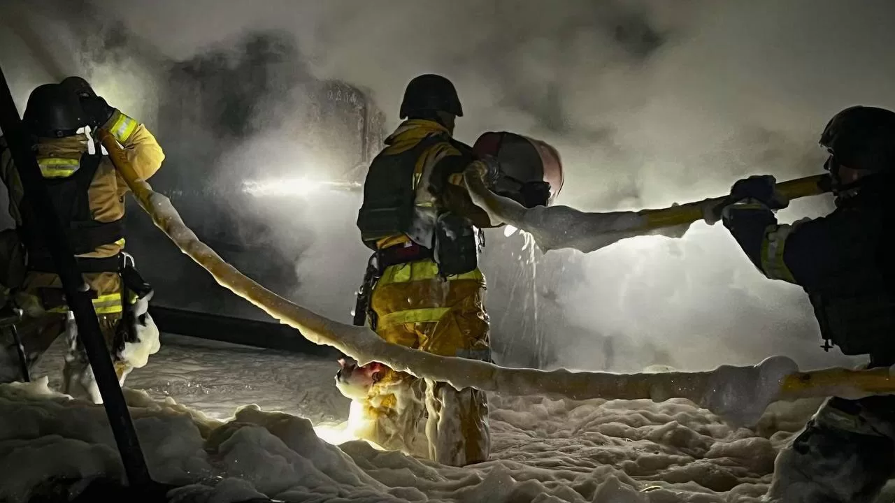 Пожежа на Київщині / Фото: ДСНС