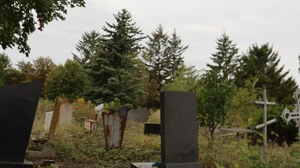 Кладовище, де ймовірно чоловік зґвалтував дівчину / Фото: Нацполіція