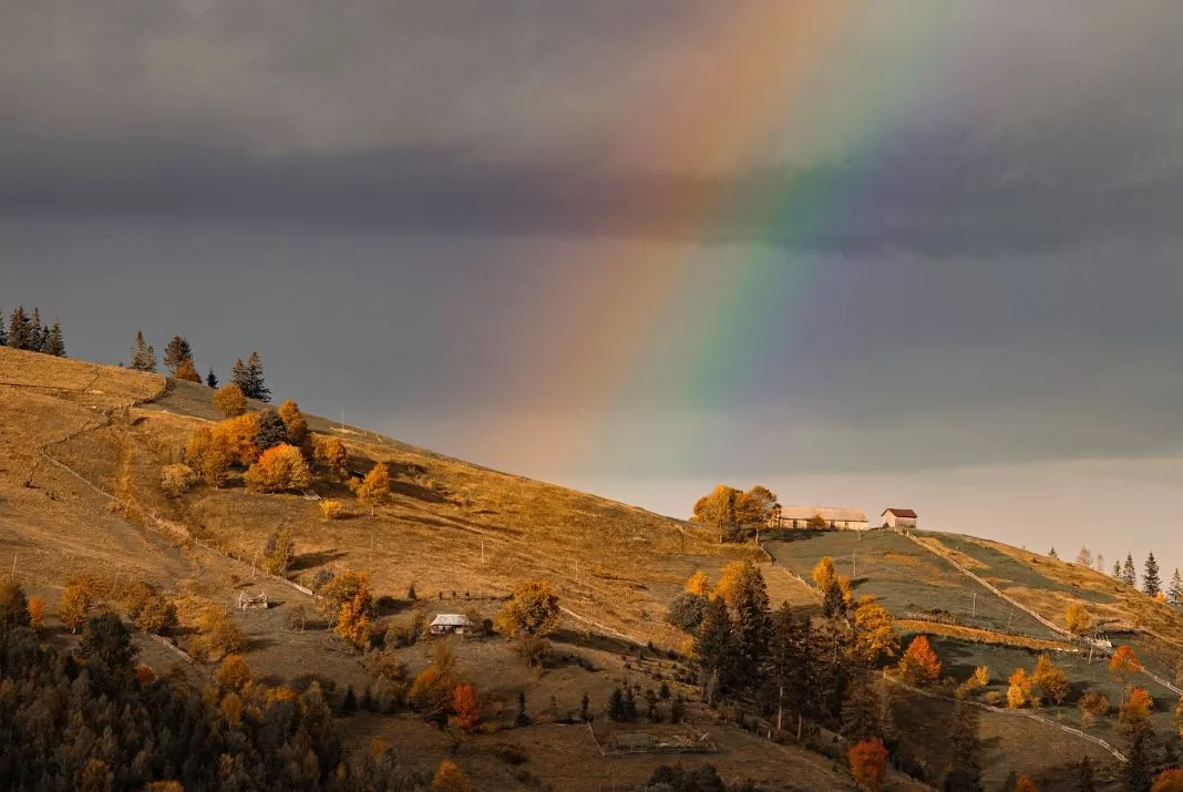 Осінь на схилах Карпат / Фото: utah_names / Instagram