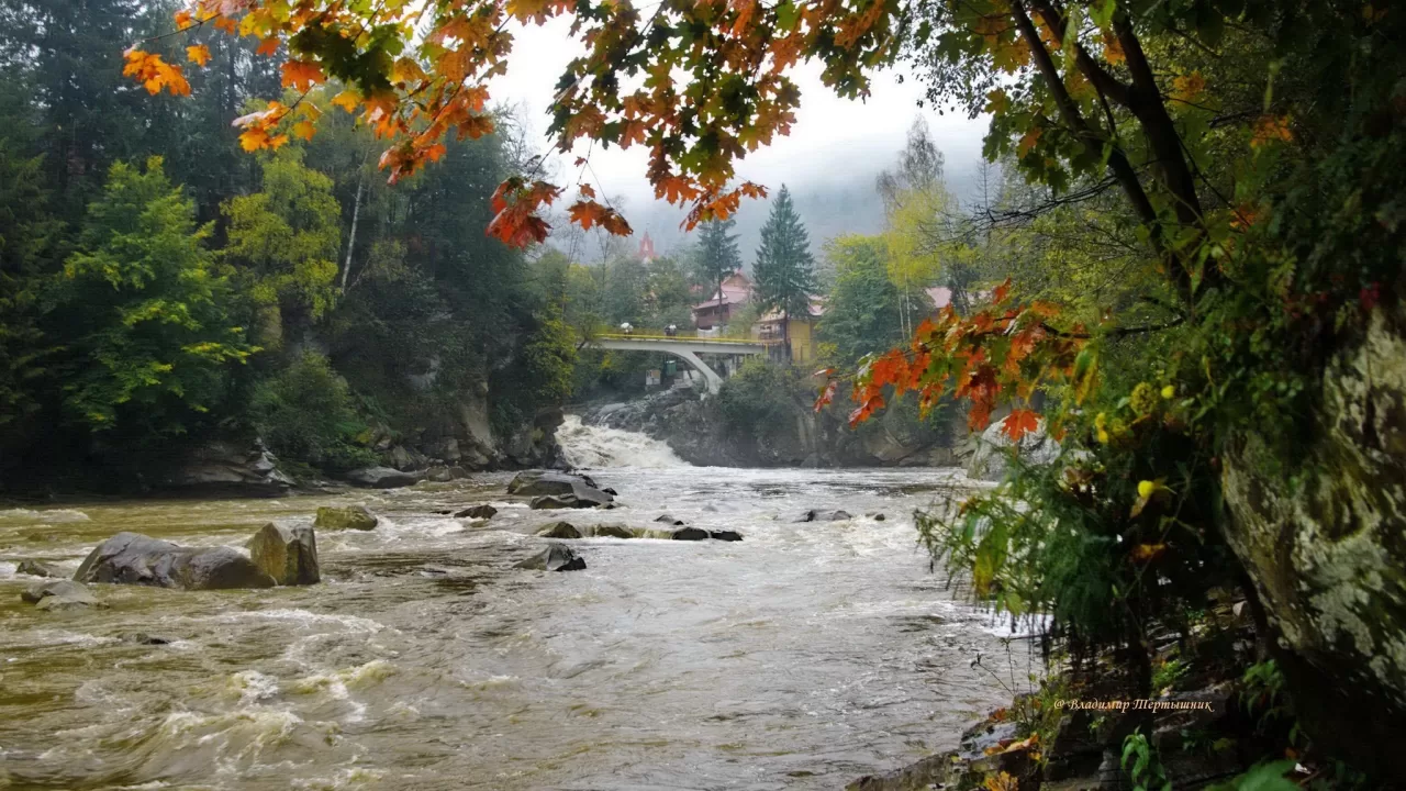 The romantic murmur of autumn / Photo from Facebook Volodymyr Tertyshnyk