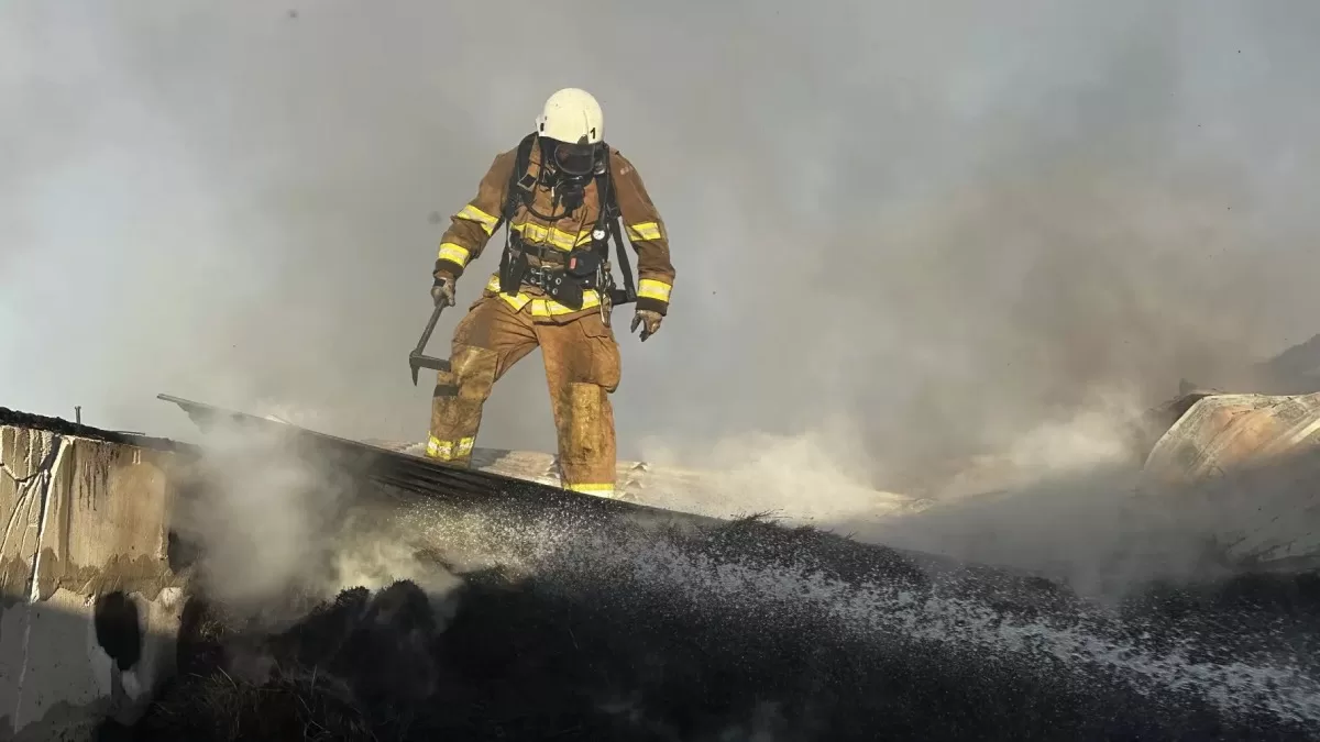 Запорізькі рятувальники ліквідували масштабну пожежу на території кінного клубу / Фото ДСНС