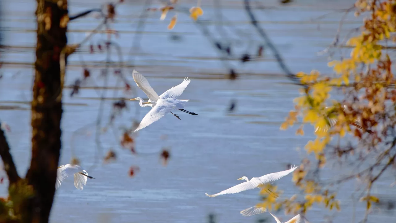 Иллюстративное фото / Фото: Игорь Поддубный / facebook.com/piddubniy.igor