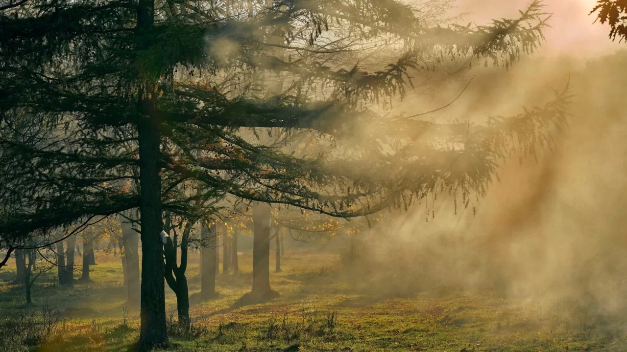 Иллюстративное фото / Фото: Игорь Поддубный / facebook.com/piddubniy.igor