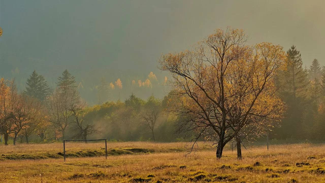 Ілюстративне фото / Фото: Ігор Піддубний facebook.com/piddubniy.igor