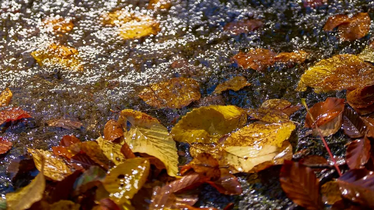 Иллюстративное фото / Фото: Игорь Поддубный facebook.com/piddubniy.igor