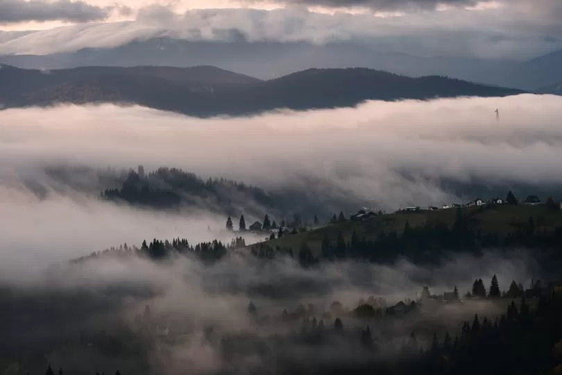 Туман в Карпатах / Фото: Facebook "Хочу в гори", Олександр Люлюк 