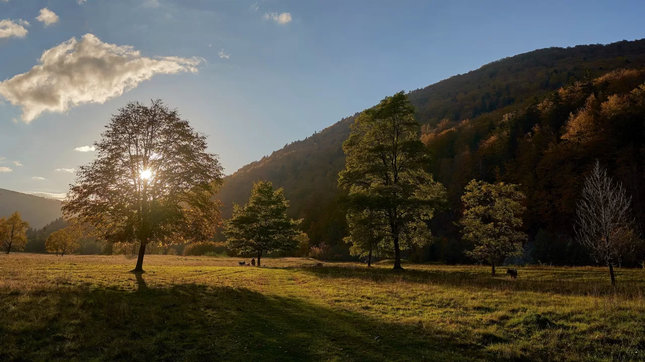 Ілюстративне фото / Фото: Ігор Піддубний facebook.com/piddubniy.igor