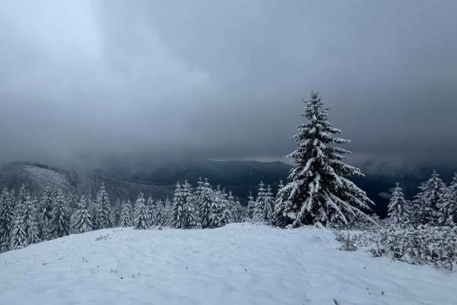 Сніг на Драгобраті / Фото: Ігор Зінкевич, Facebook