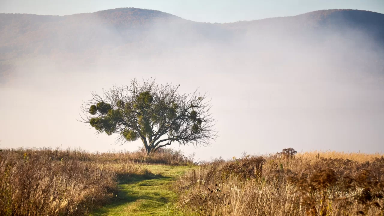 Иллюстративное фото / Фото: Серий Козлов facebook.com/sergij.kozlov.165054