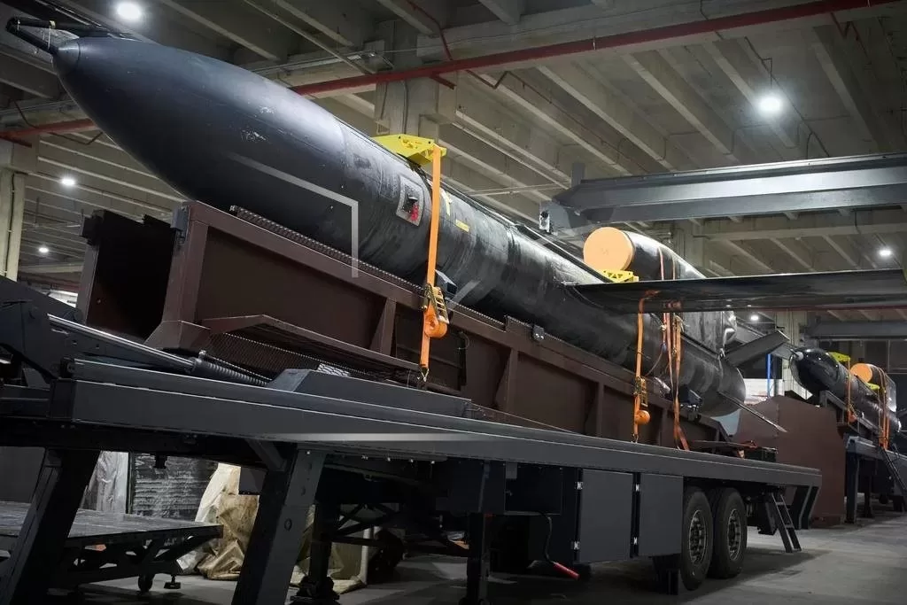 Українська далекобійна ракета "Фламінго" / Фото: AP Photo/Efrem Lukatsky