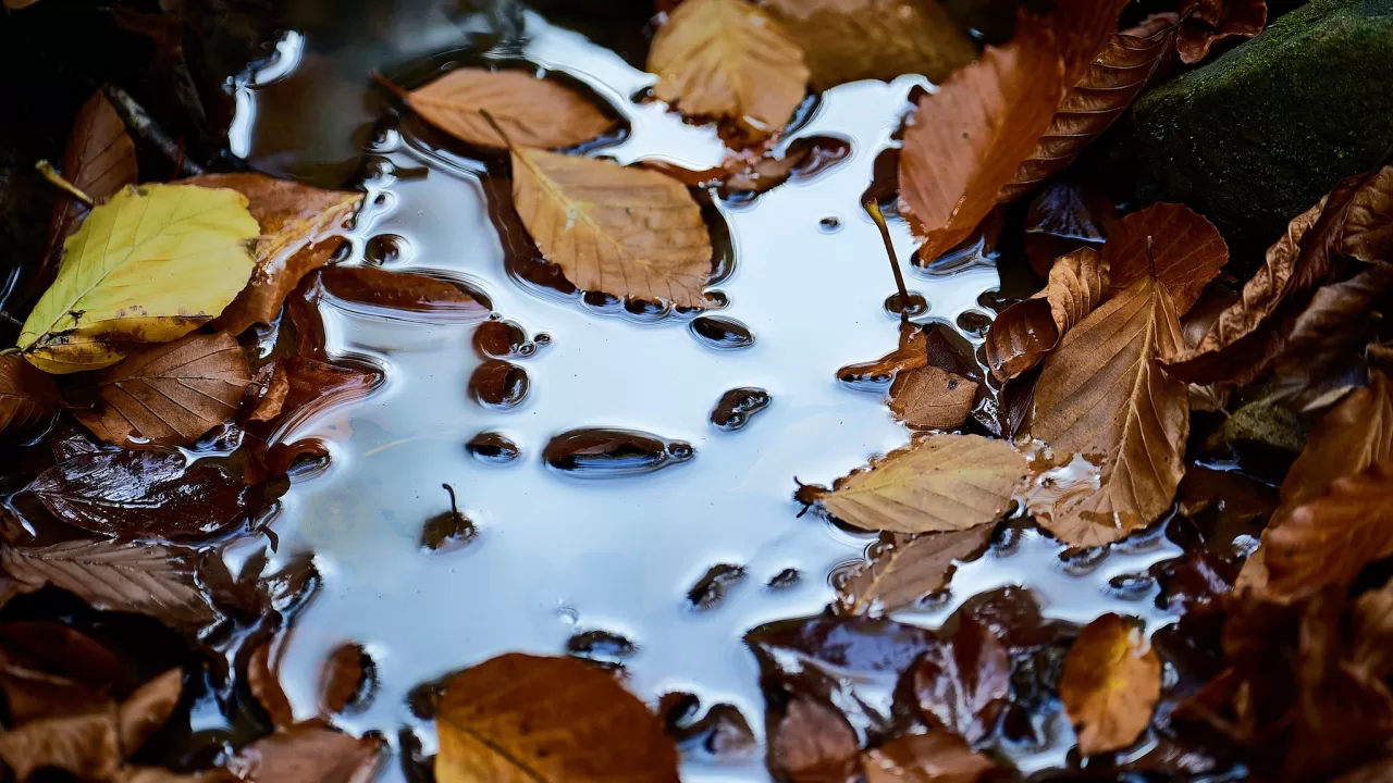 Иллюстративное фото / Фото: Игорь Поддубный/Facebook