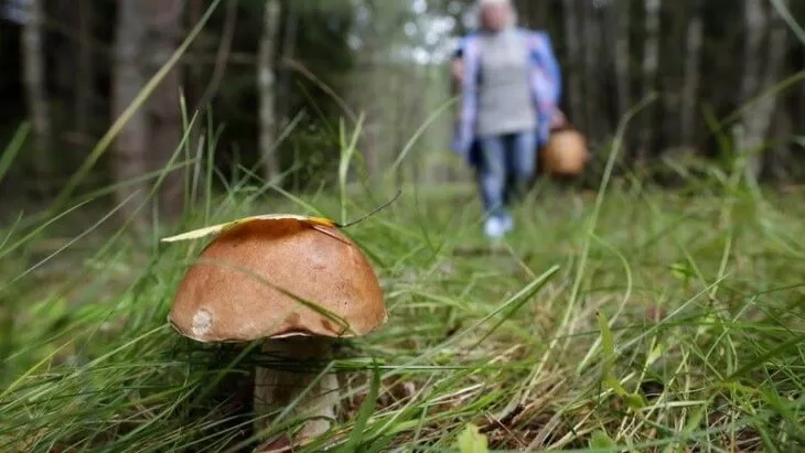Ілюстративне фото з відкритих джерел