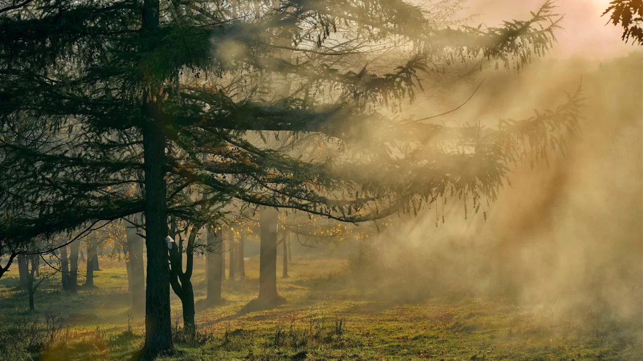 Ілюстративне фото / Фото: Facebook/Ігор Піддубний