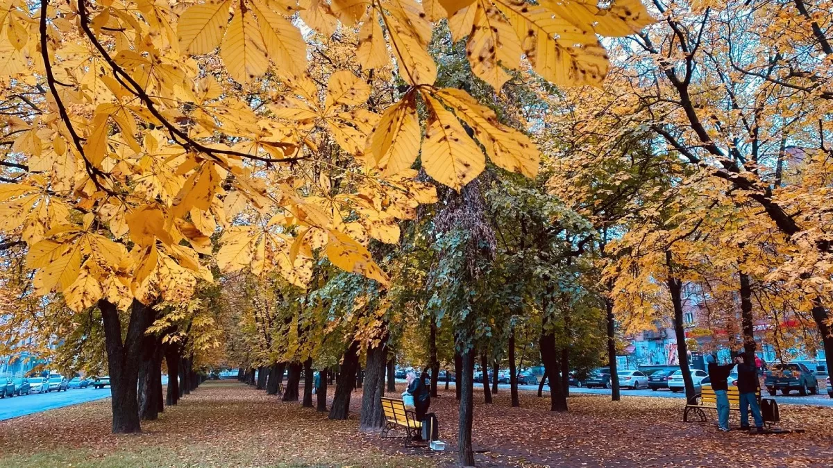 Ілюстративне фото / Фото з Facebook Алла Квашко